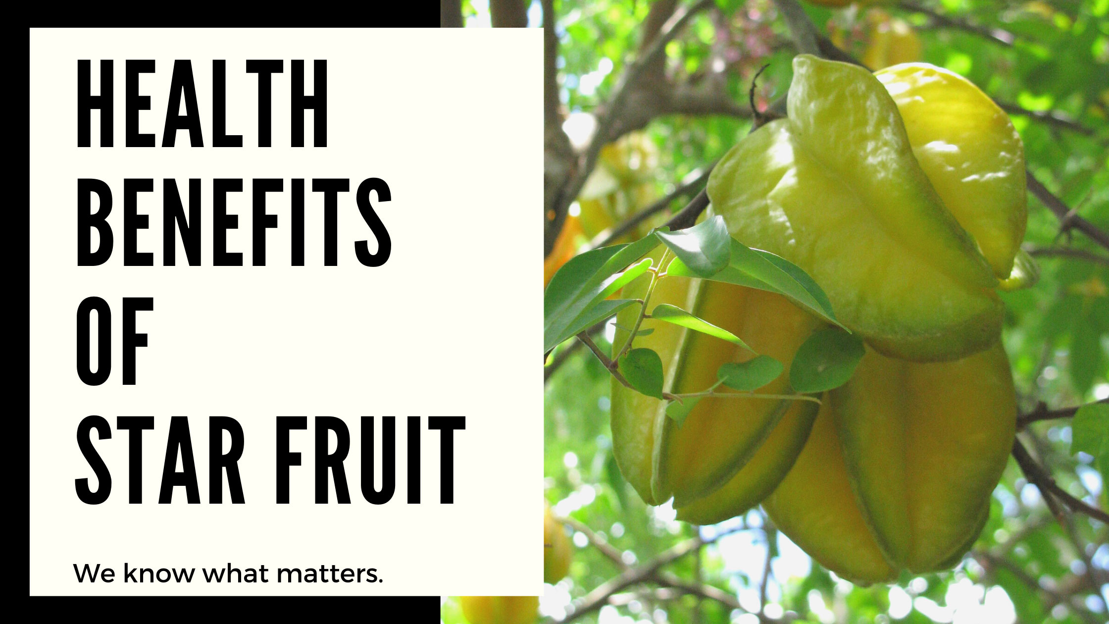 Star fruit | health benefits of Star fruit or Carambola