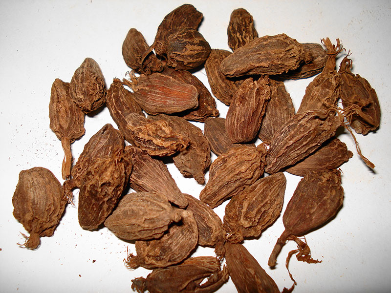 Cardamom