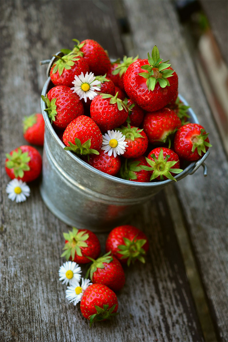 Strawberry Nutrition 