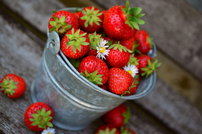 Strawberries Nutrition | Health Benefits of Strawberry
