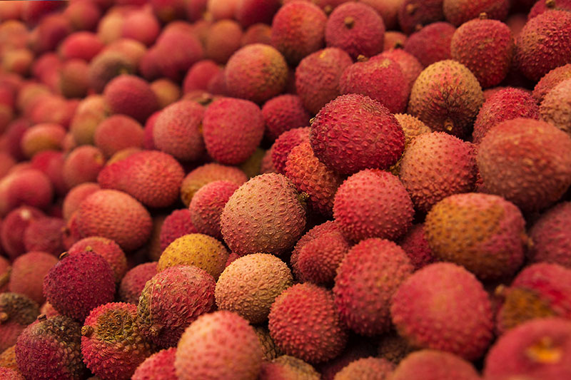 Lychee