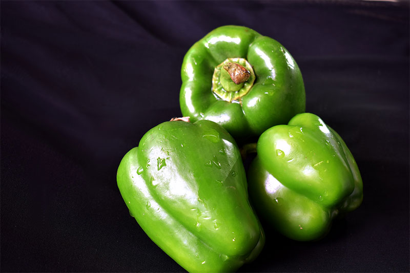 Capsicum