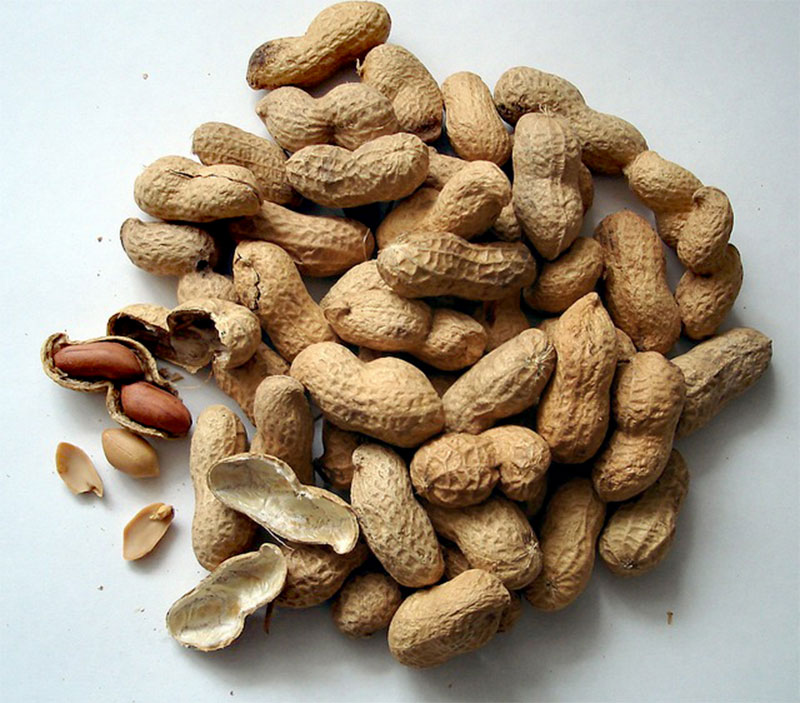 Health Benefits of Groundnut | Peanut