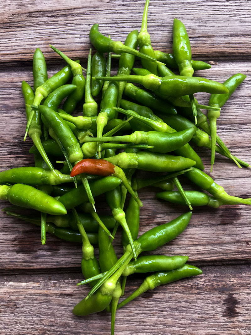 health benefits of green chilli