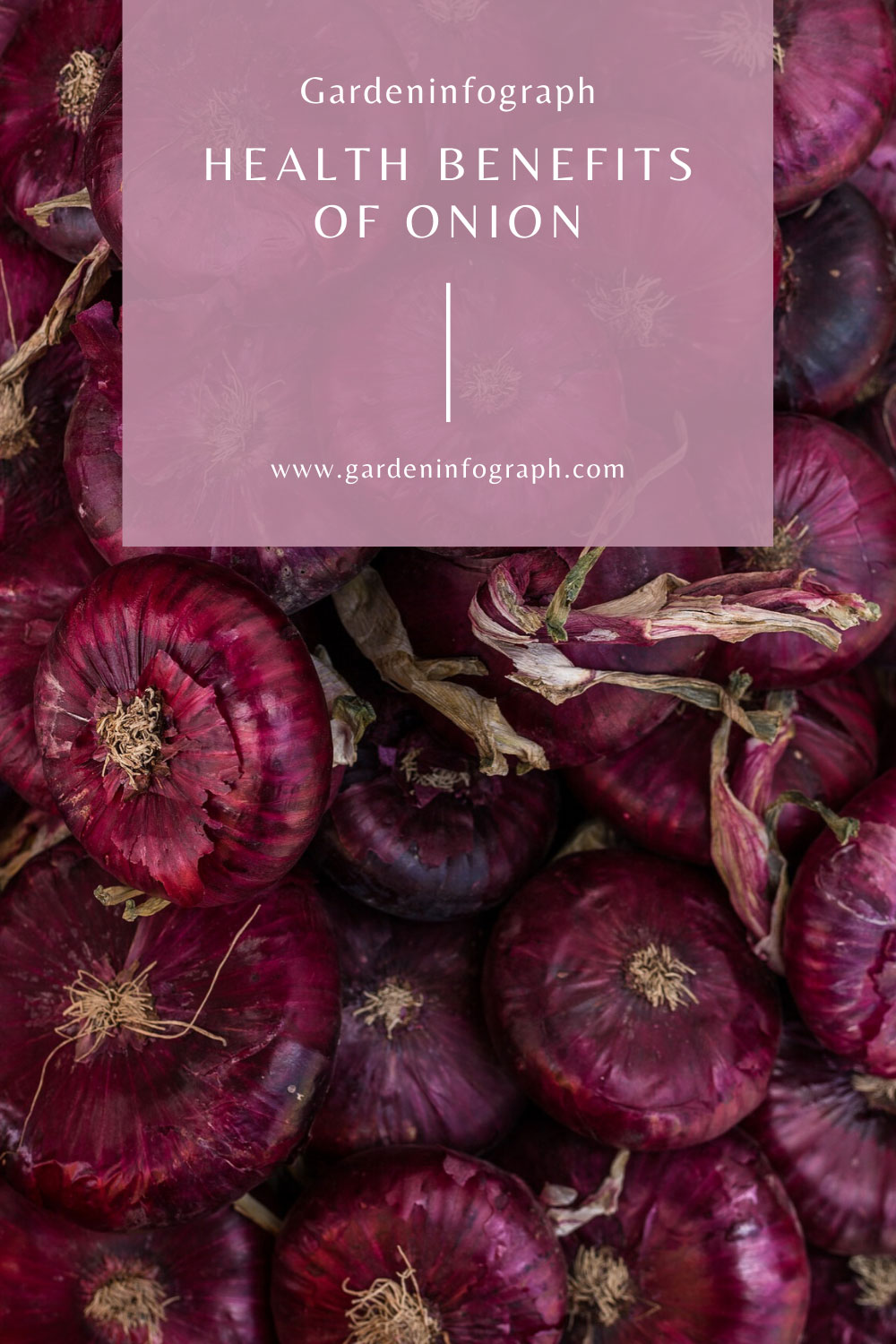 benefits of onion