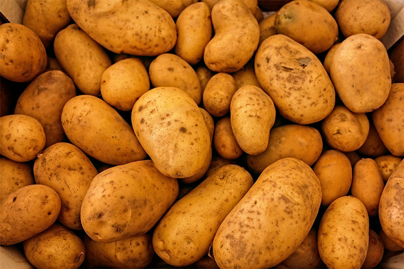 Potato