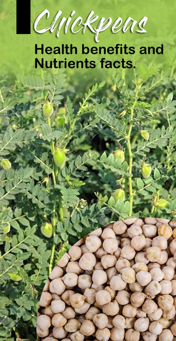 Chickpeas