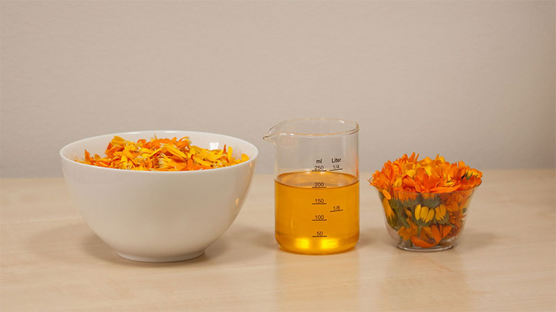 The Benefits of Calendula | Calndula nutrients and side effects