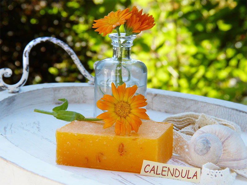  Benefits of Calendula | Calndula nutrients and side effects