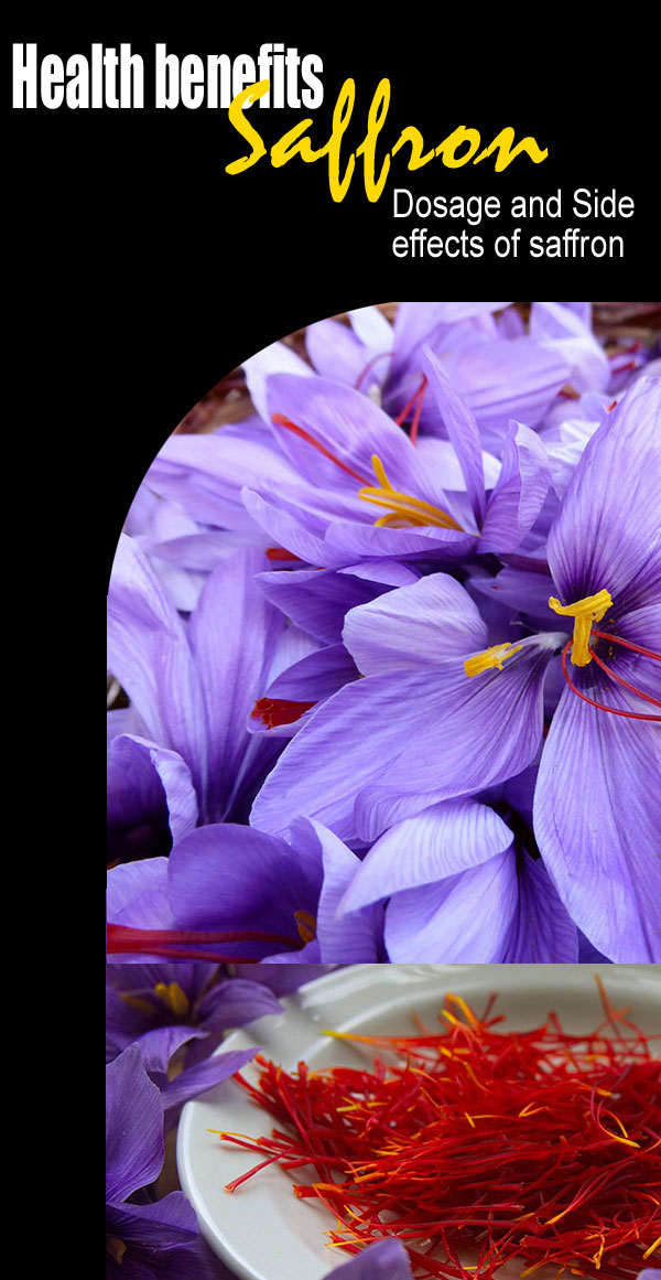 Health benefits of saffron | Dosage and Side effects of saffron