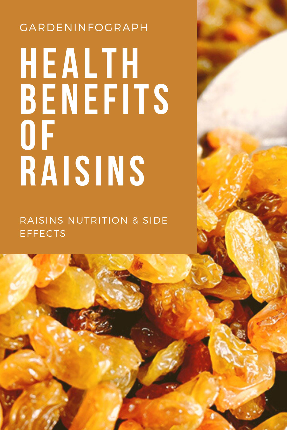 health benefits of saisins