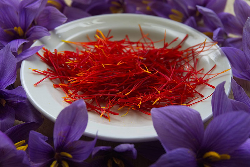 Health benefits of saffron | Dosage and Side effects