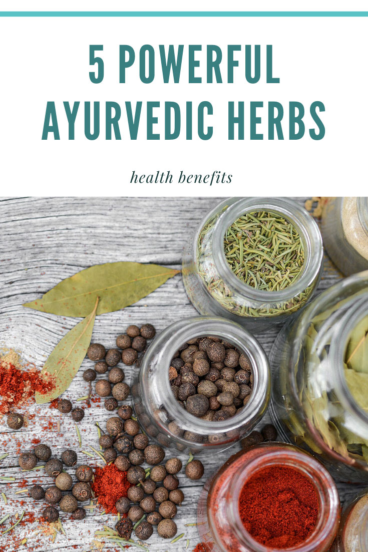 5 Powerful Ayurvedic Herbs And There Health Benefits Garden Infograph 