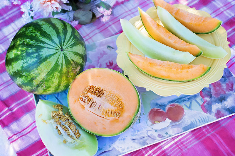6 types of melons for summers