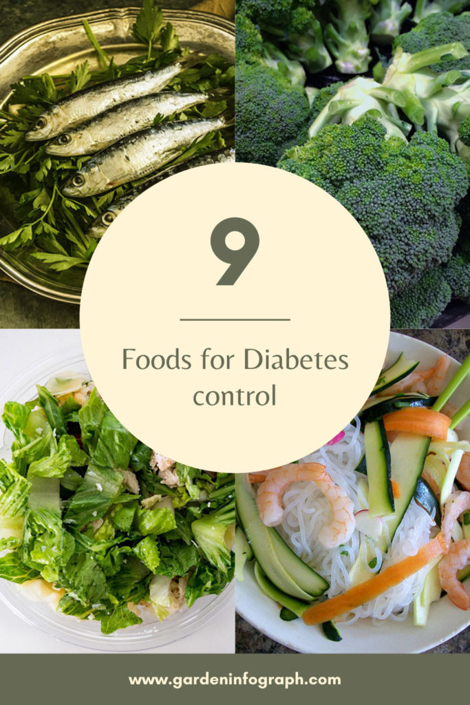 9 Foods for Diabetes control - Garden infograph