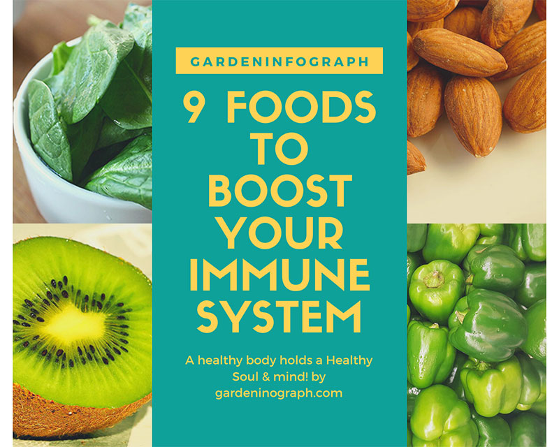 9 Foods that Boost your Immune system