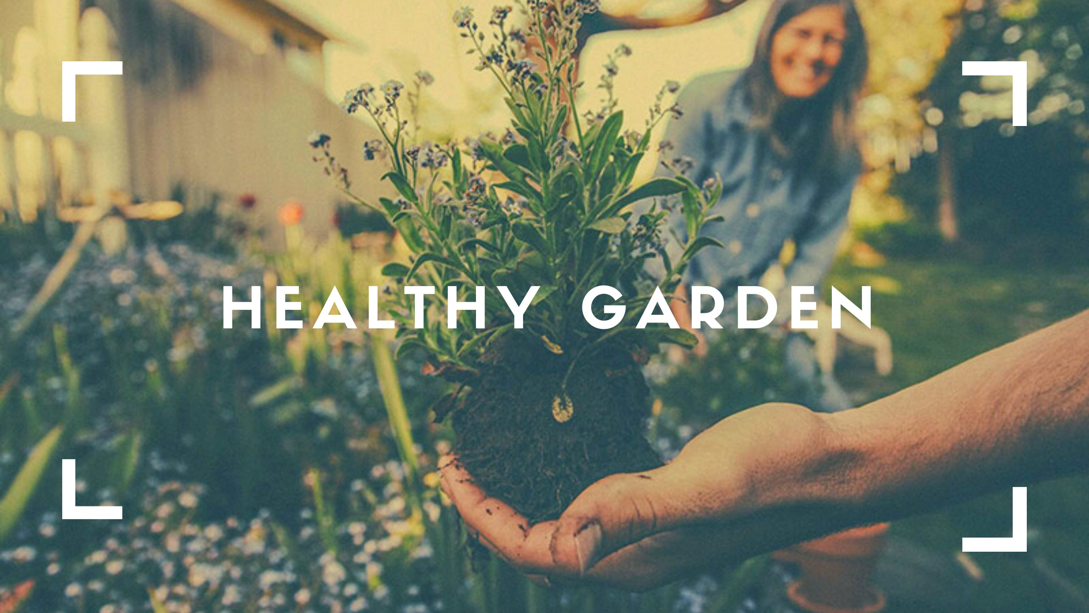 10 ways to maintain a Healthy garden | Garden care