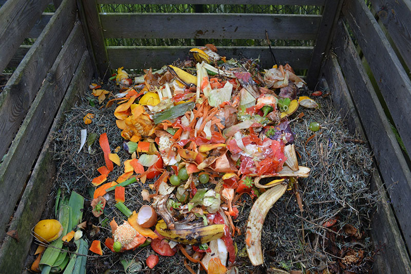 Composted yard waste