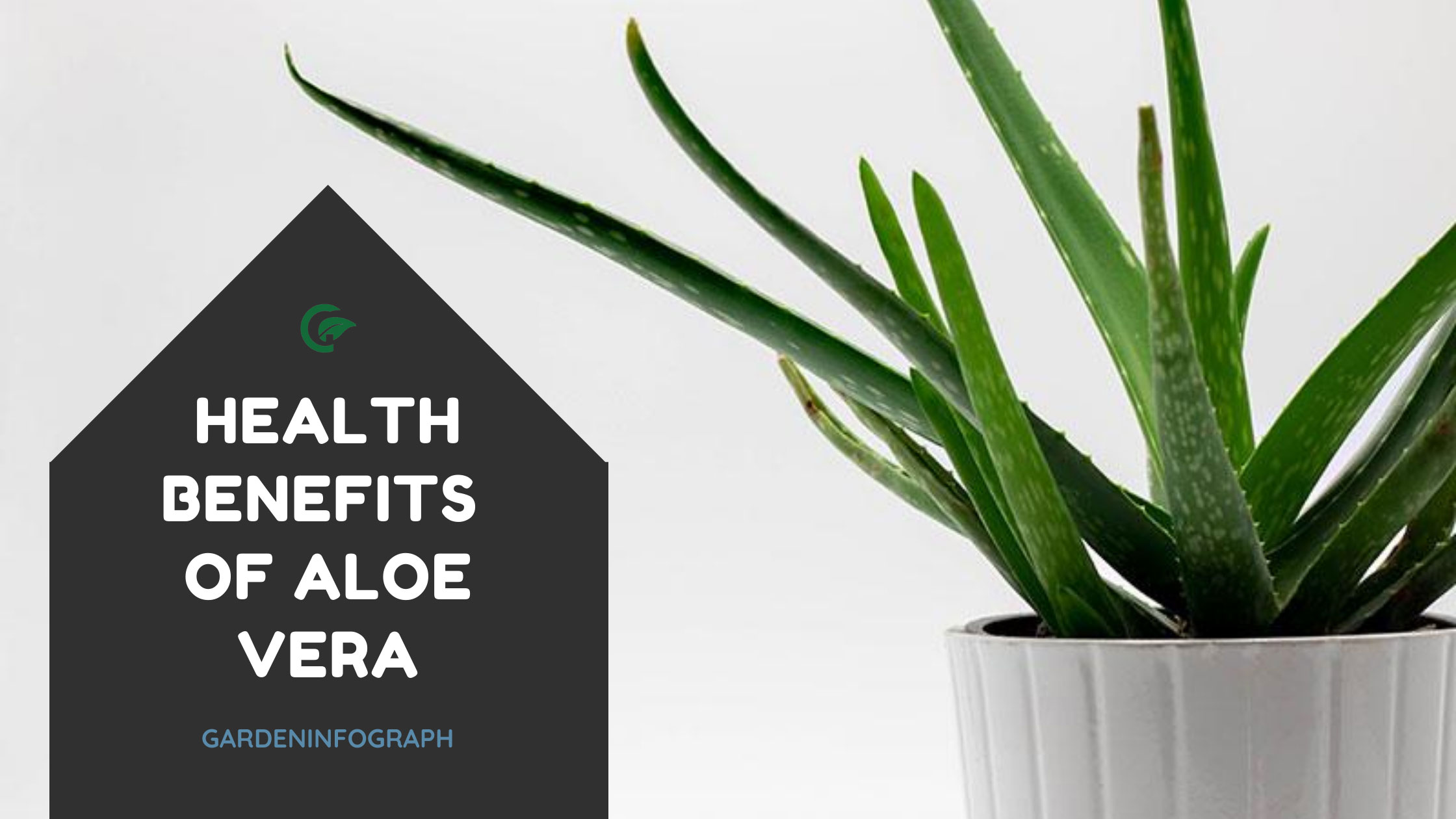 10 Health Benefits of Aloe Vera Juice