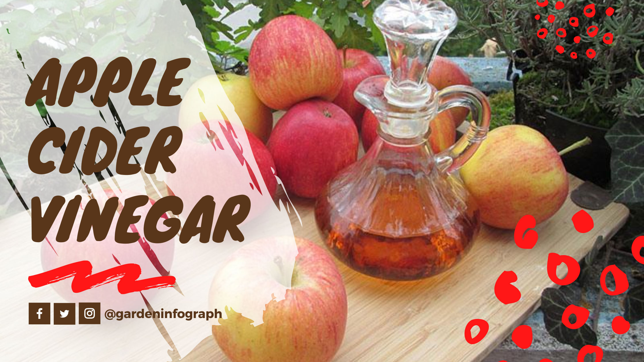 Apple Cider Vinegar: Health Benefits