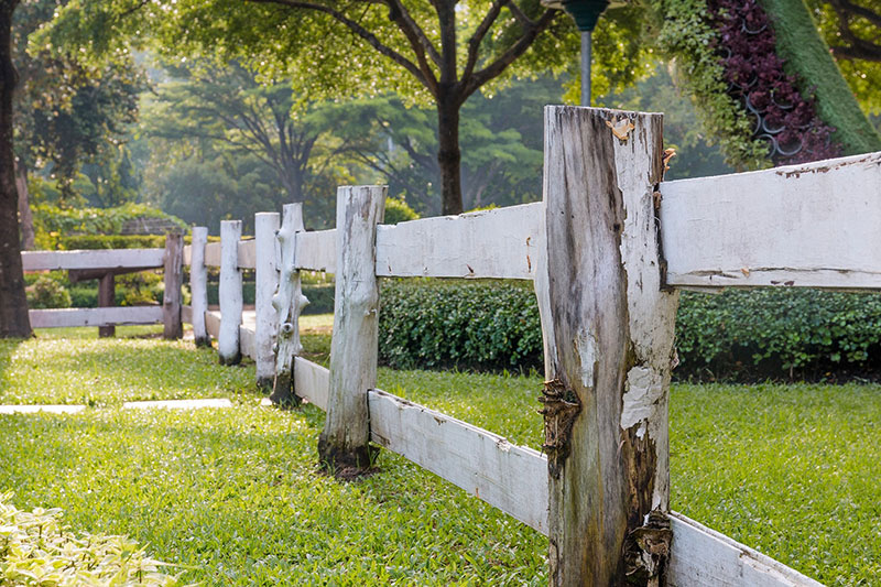 use garden fences for better landscape 