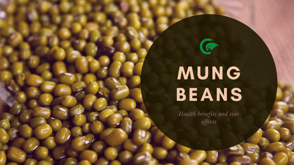 10 Amazing Health Benefits Of Mung Beans - Garden Infograph