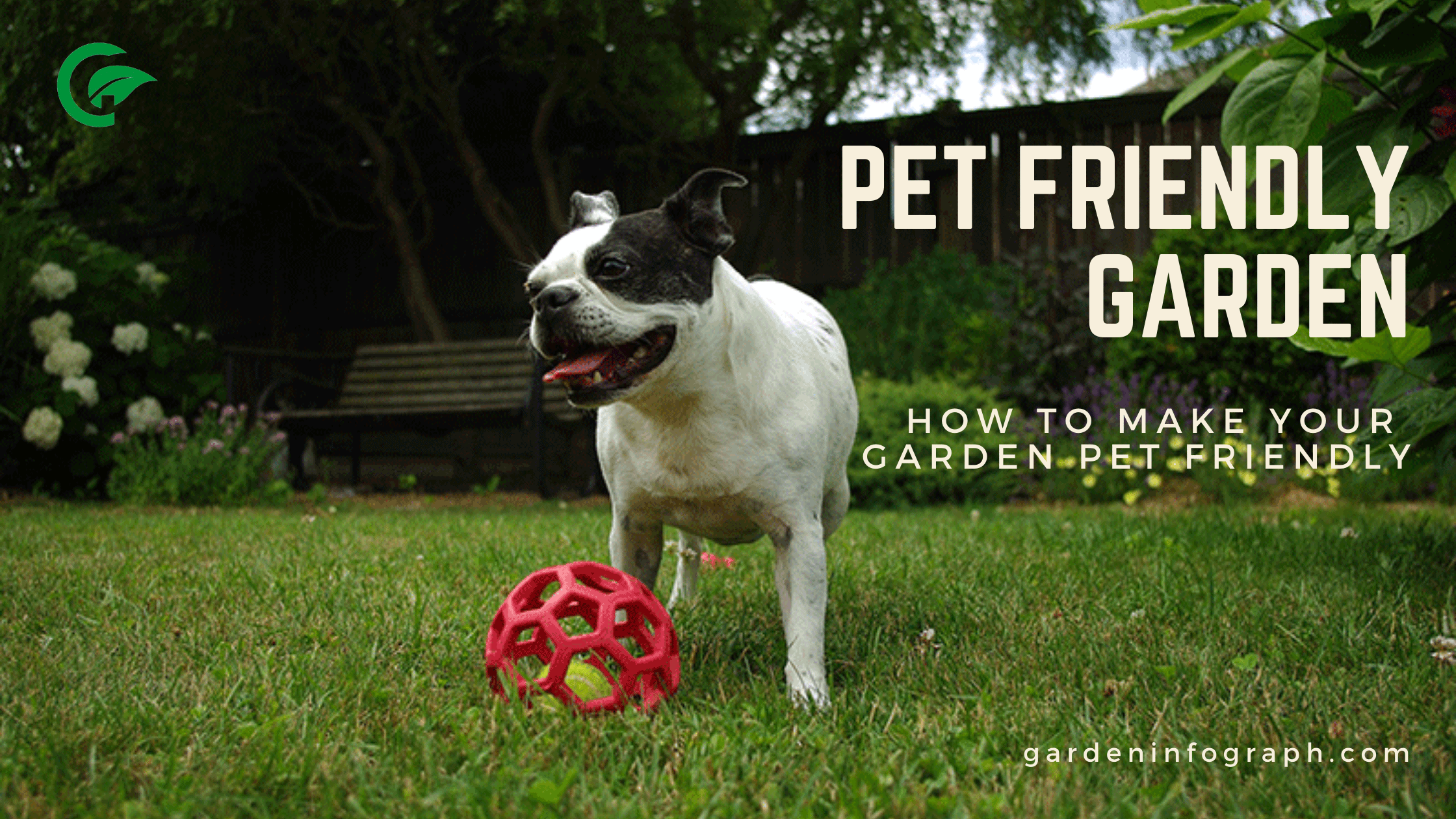 How to make a pet friendly garden