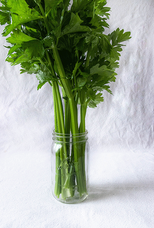 celery benefits