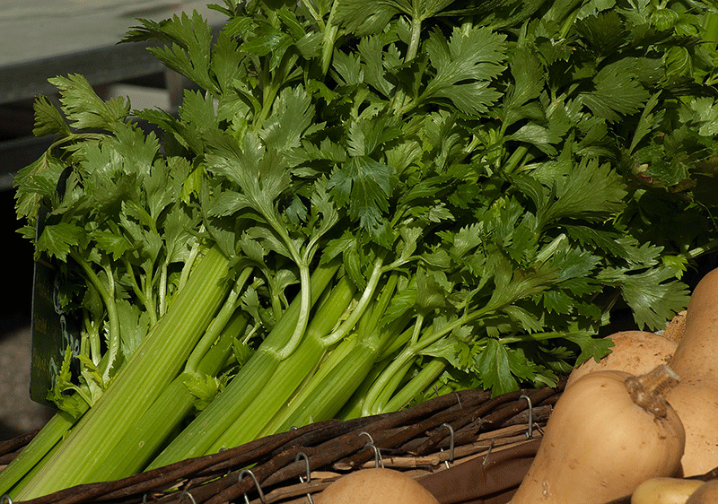 celery leaves