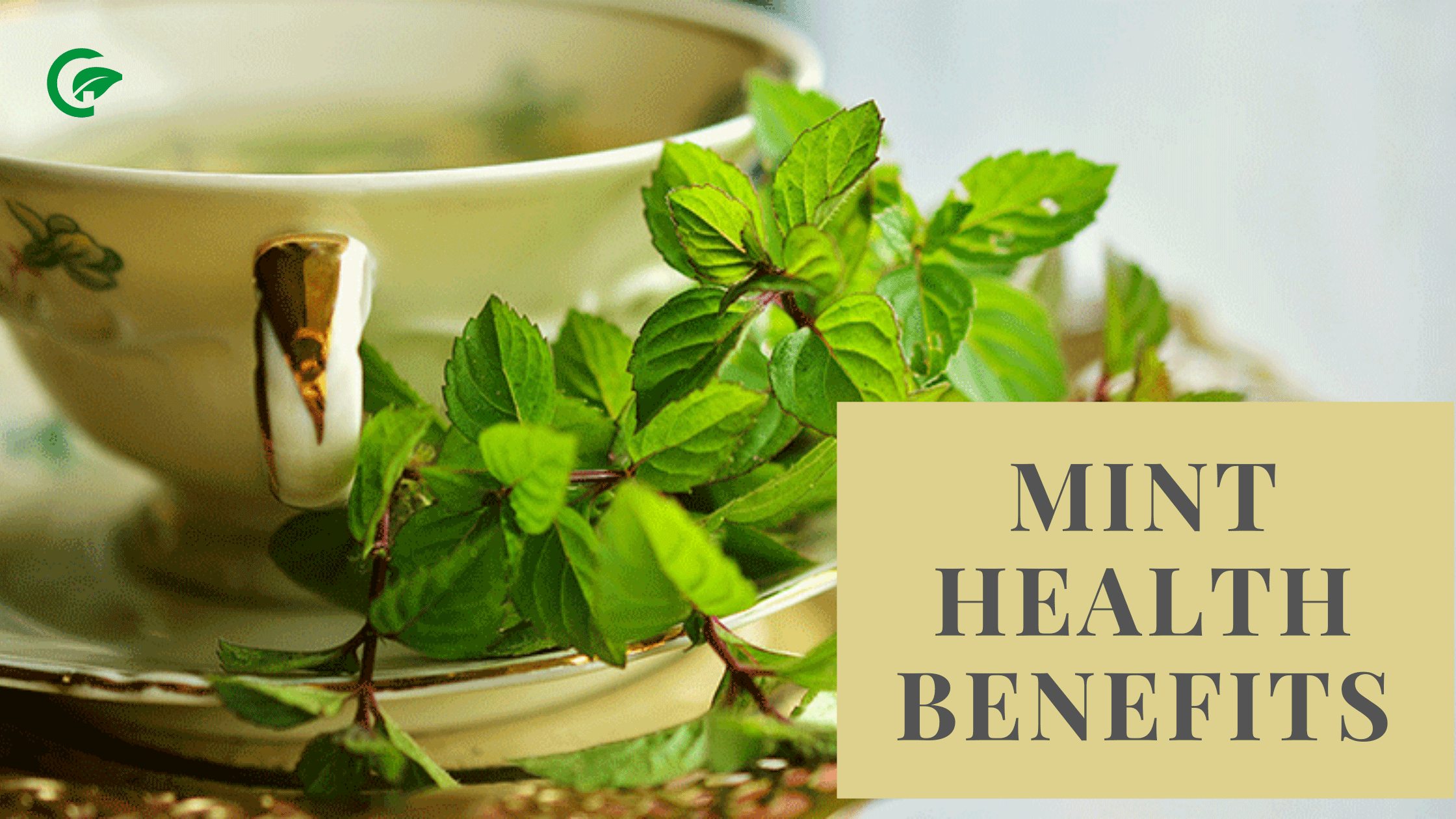 15 Mint health benefits | Peppermint