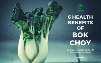 health benefits of bok choy