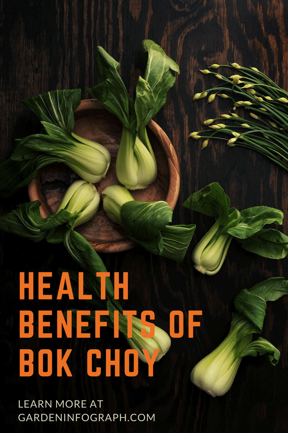 chinese cabbage health benefits
