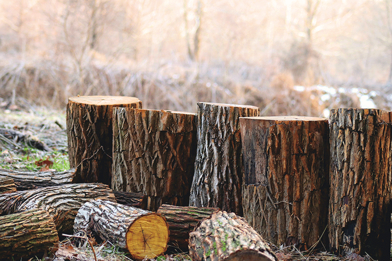 log style fence