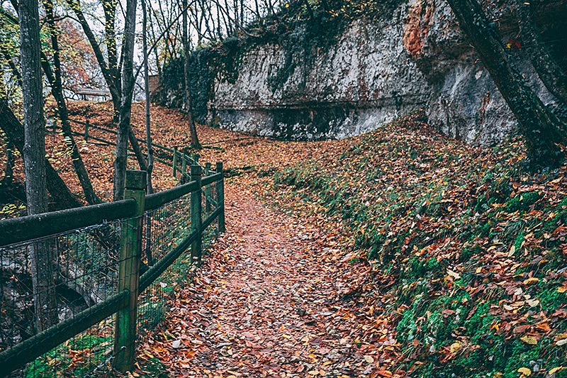 Split rail fence