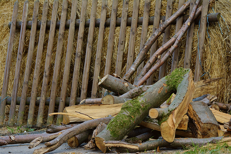 Timber fence
