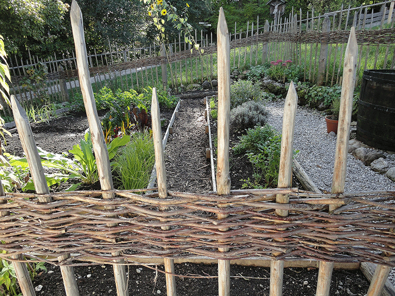 willow fence