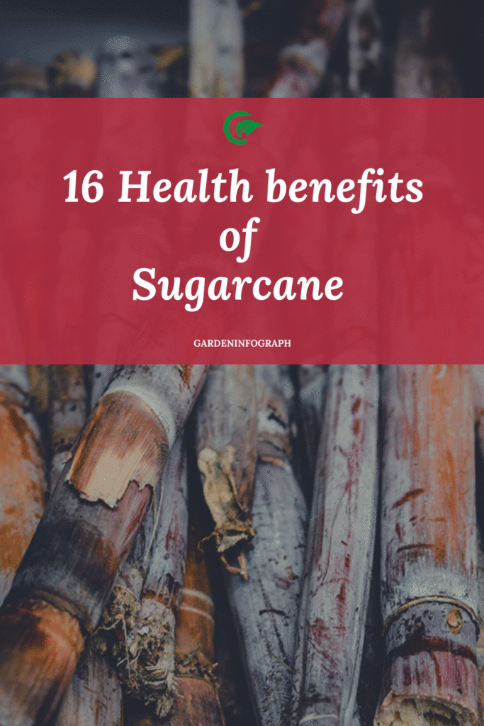 16 health benefits of sugarcane