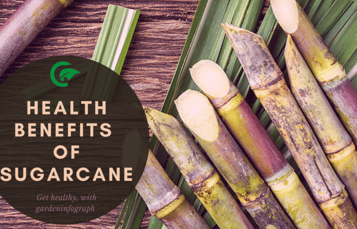 health benefits of sugarcane
