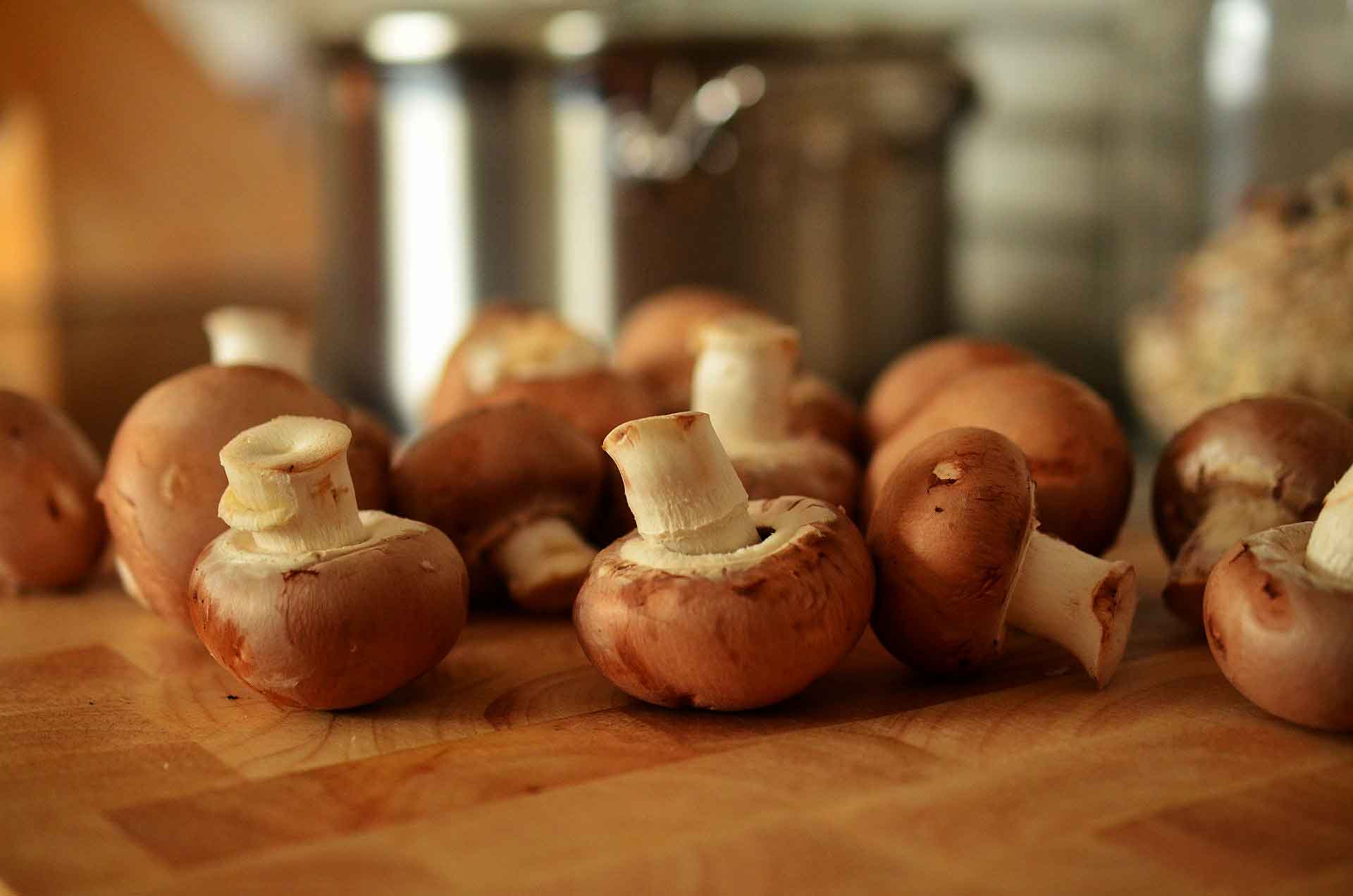 mushrooms nutrition