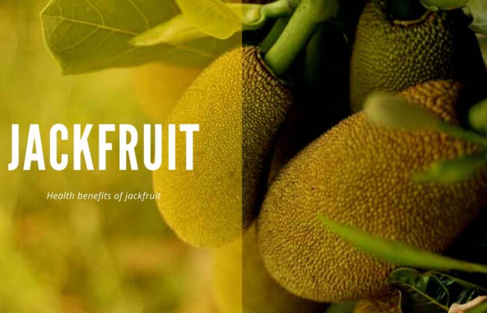 jackfruit benefits