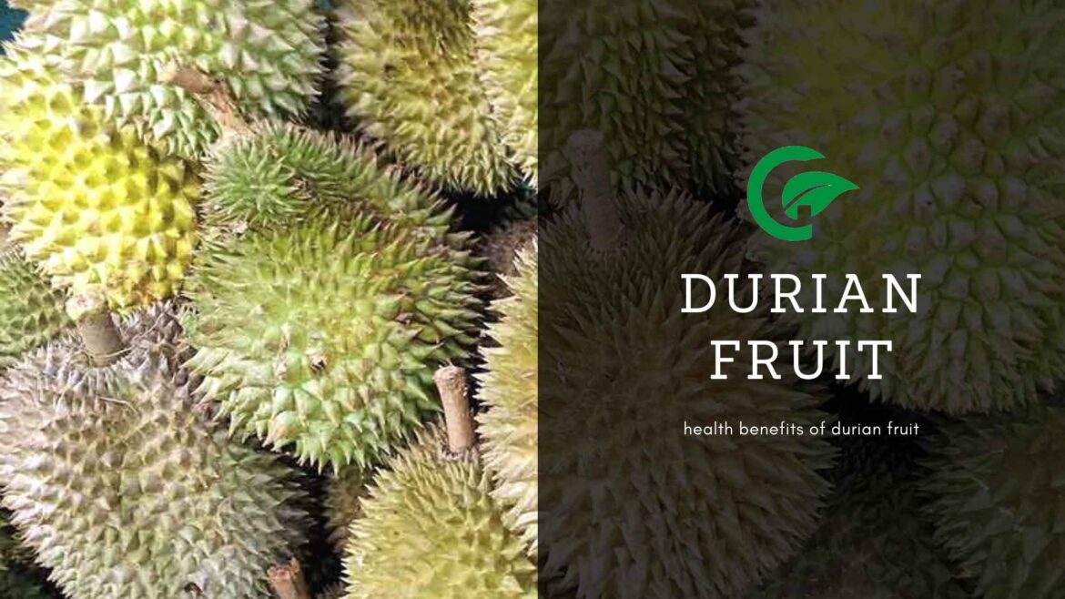 Durian fruit: Health benefits
