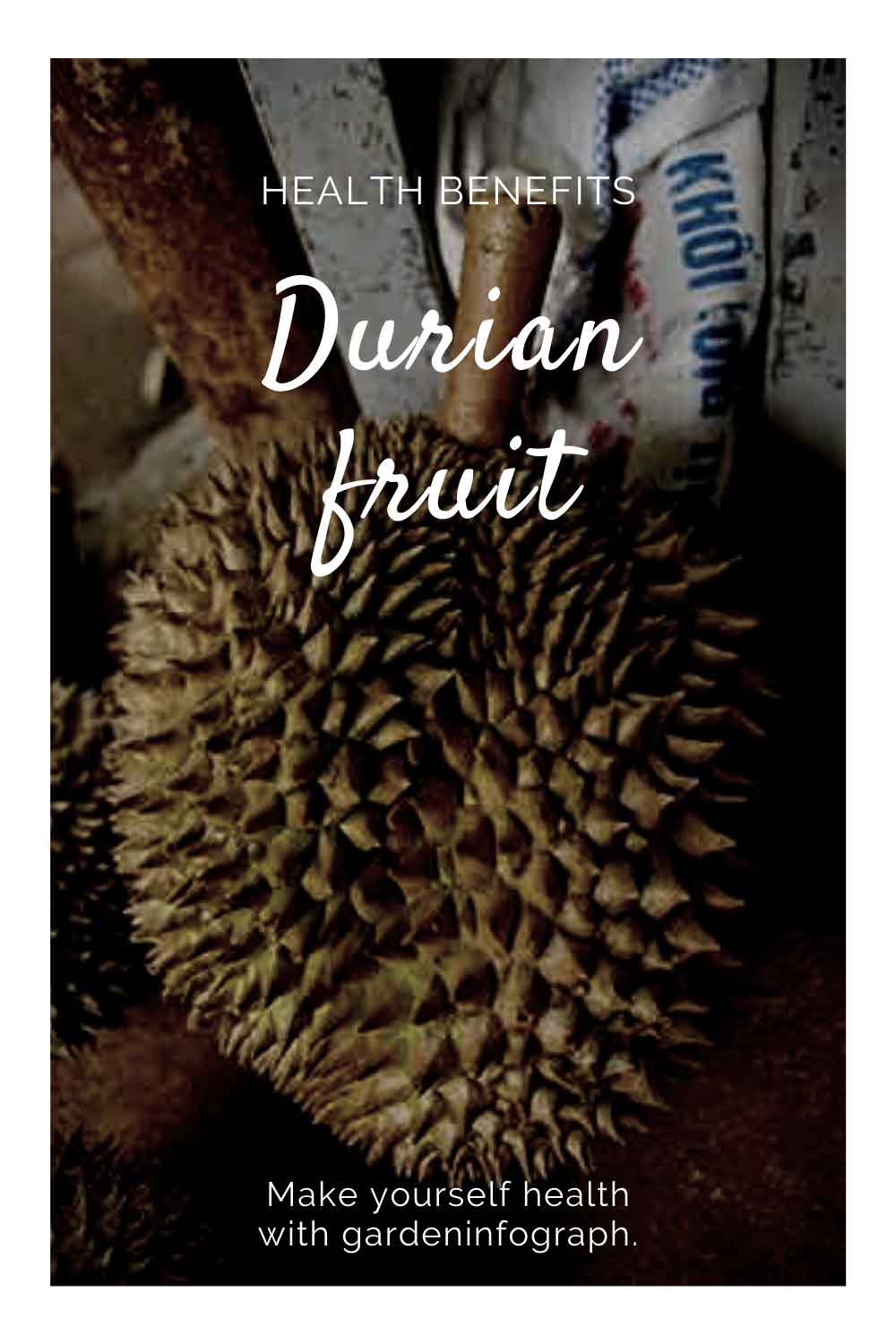 durian benefits