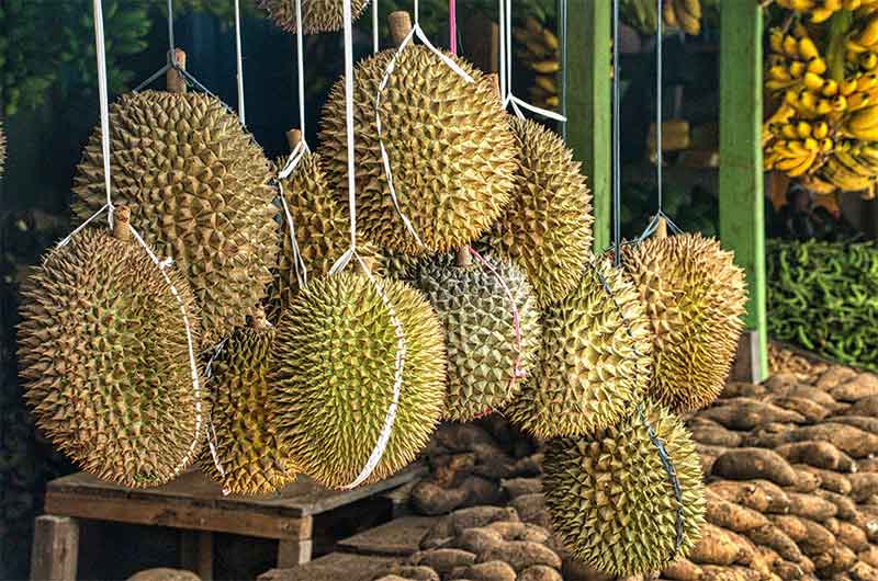 durian fruit