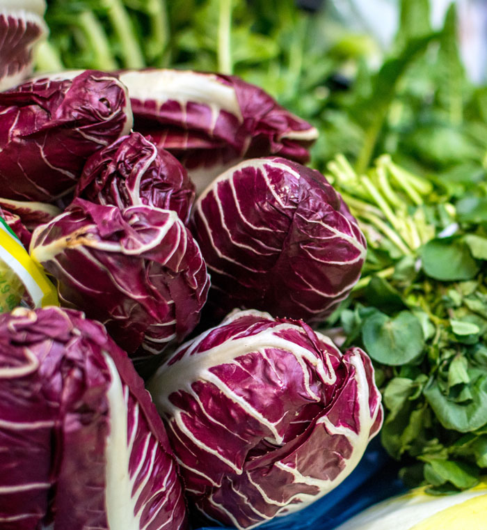 Purple cabbage