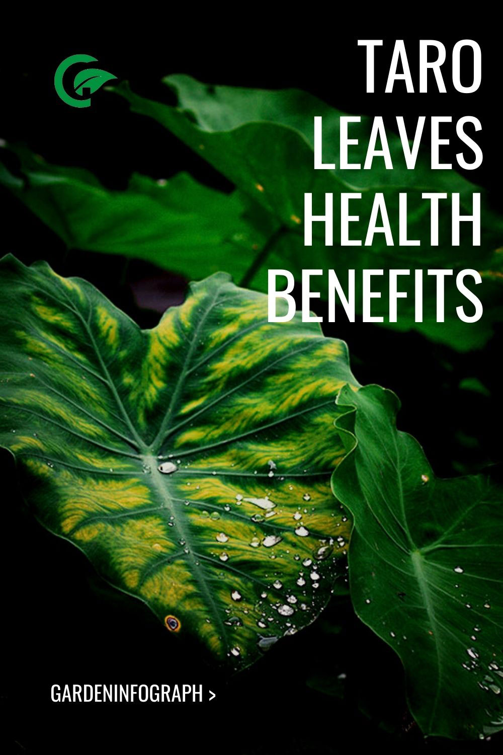 taro leaves health benefits
