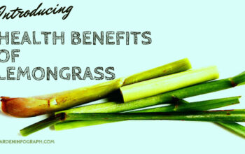 lemongrass health benefits