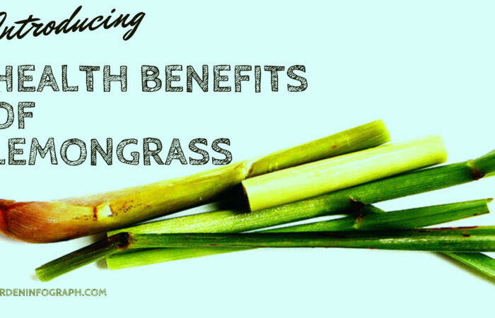 lemongrass health benefits