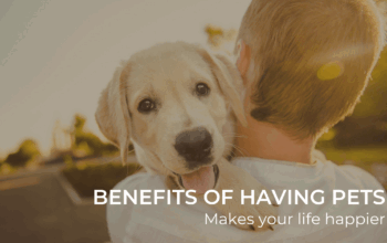 Benefits of pets