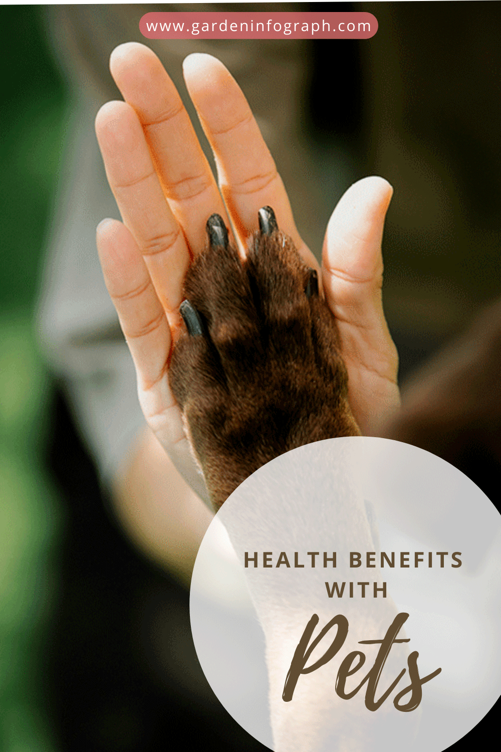 health benefits with pets